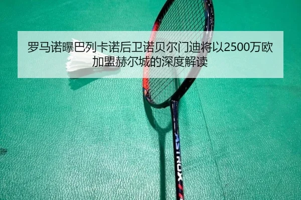 罗马诺曝巴列卡诺后卫诺贝尔门迪将以2500万欧加盟赫尔城的深度解读（kaiyun）