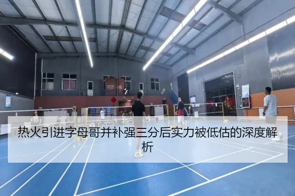 热火引进字母哥并补强三分后实力被低估的深度解析（kaiyun）